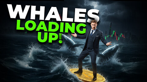 Bitcoin Live Trading: Whales Are Accumulating Again! Giant Move Ahead! EP1884