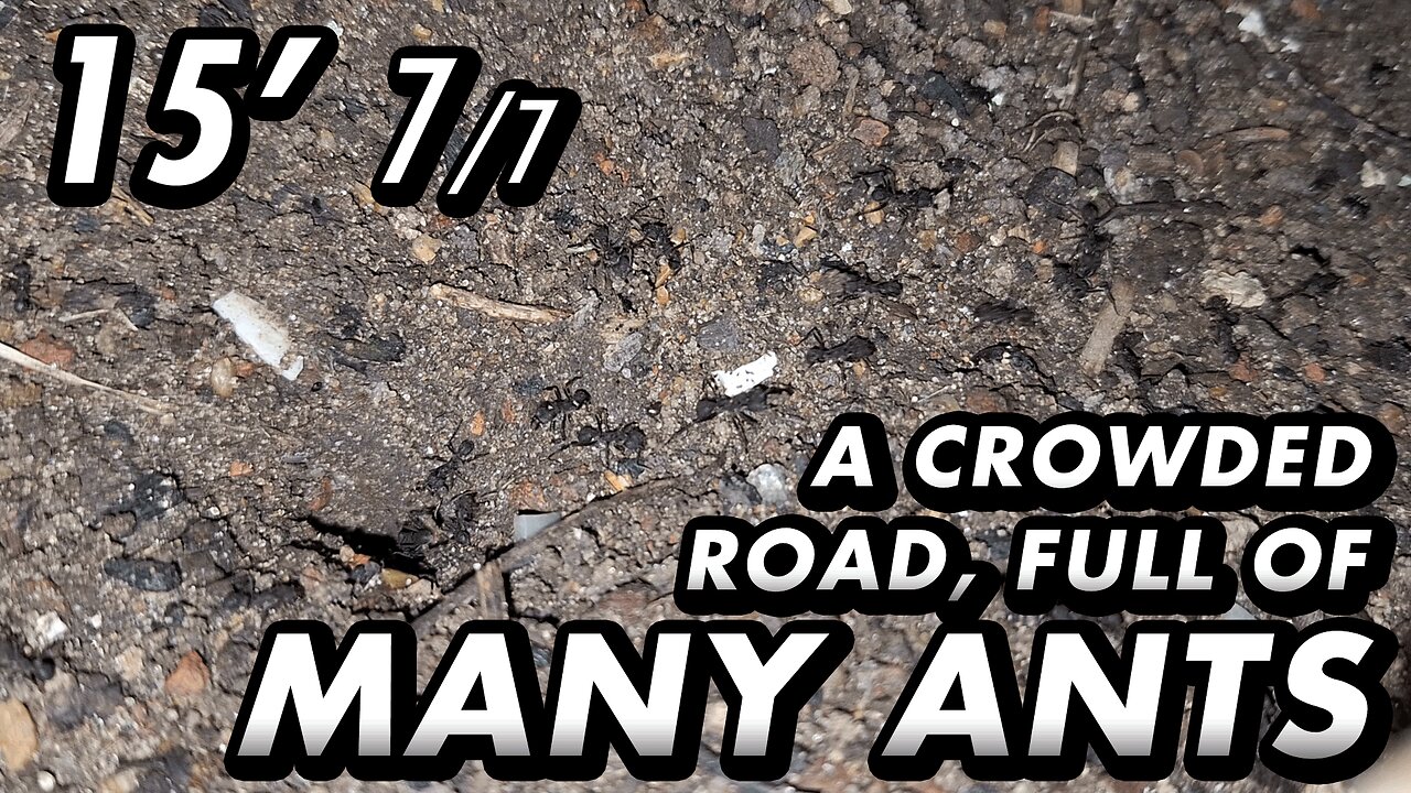 ASMR | Brick by brick, doing mainteinance of their underground bunker - 15' 7/7