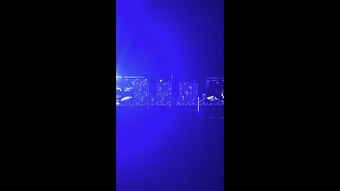Oasis “Supersonic” live Reunion Tour Rose Bowl Pasadena California