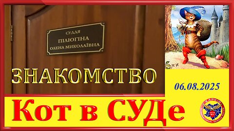 911 КОТ В СУДЕ- ЗНАКОМСТВО
