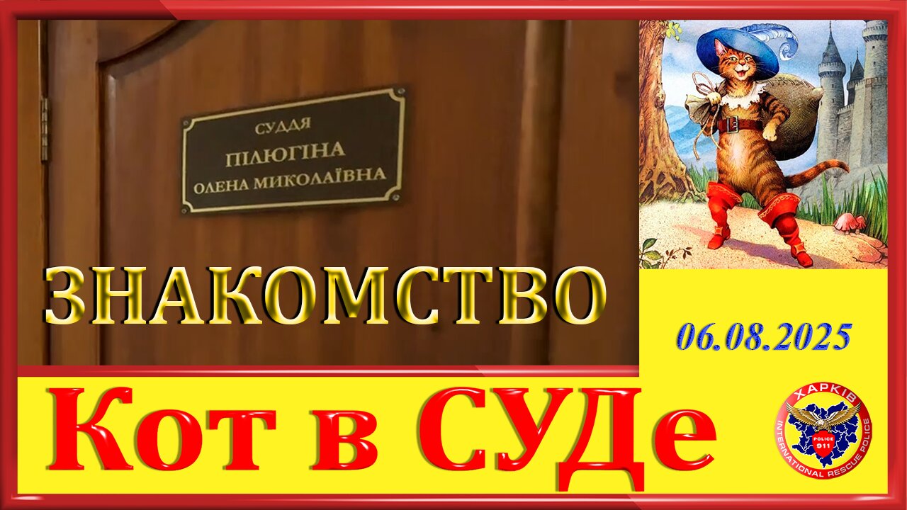 911 КОТ В СУДЕ- ЗНАКОМСТВО