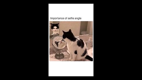 “When Life Gives You Funny Mood | Ultimate Meme Shorts” #FunnyMemes #MemeShorts #ViralVideo