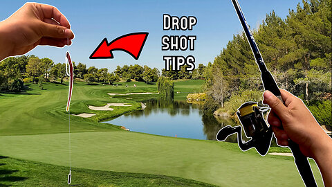 The ULTIMATE Drop Shot Guide (GIANT Bass at the End!)