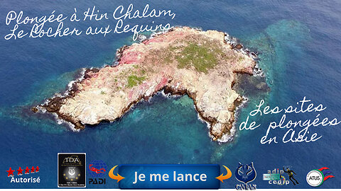 🌸 Plongée à Hin Chalam, Le Rocher aux Requins de Pattaya, Un Rêve Devenu Réalité