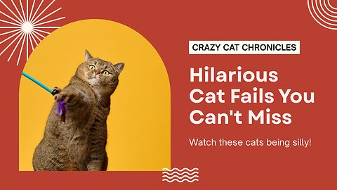 Silliest CATS on Earth