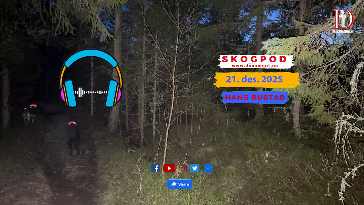 Skogpod 21. desember 2025