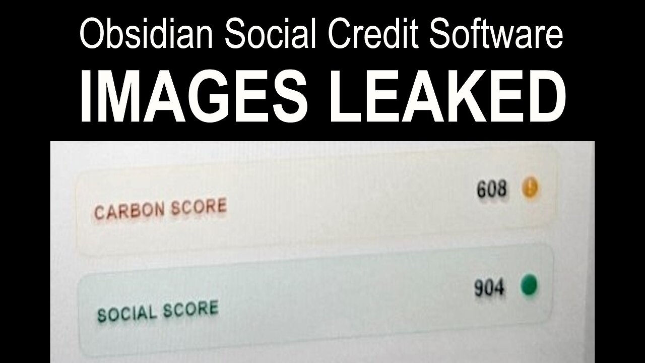 Obsidian Social Credit Software IMAGES LEAKED