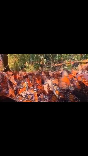 BUILDING LASTING FRIENDSHIPS - DAILY DEVOTIONAL ❤️