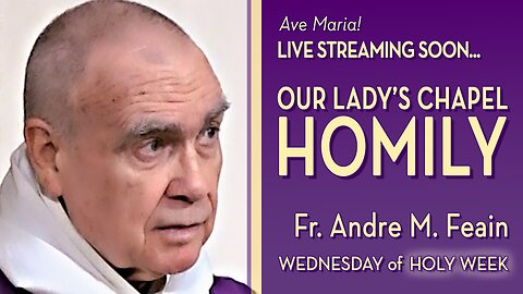 Wednesday of Holy Week - April 16, 2025 - HOMILY