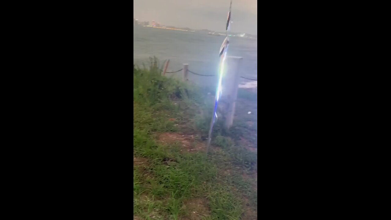 Cutlass Fish reflective property ❤️