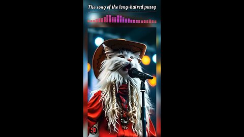 Funny cat songs 🎸😹🐱