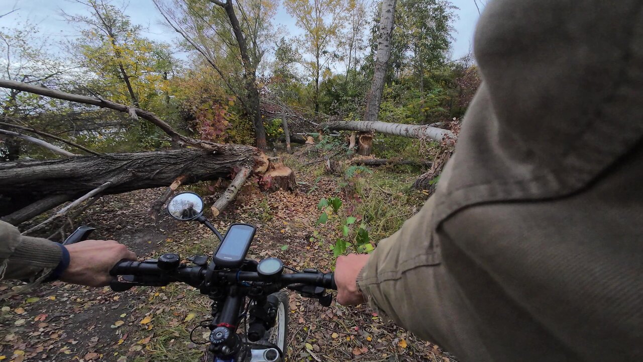 Cycling, 28.10.2025 [A] Donauinsel