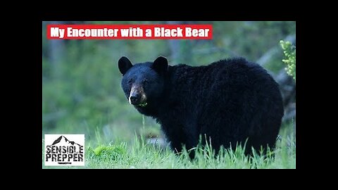 Surviving Encounters with Black Bears