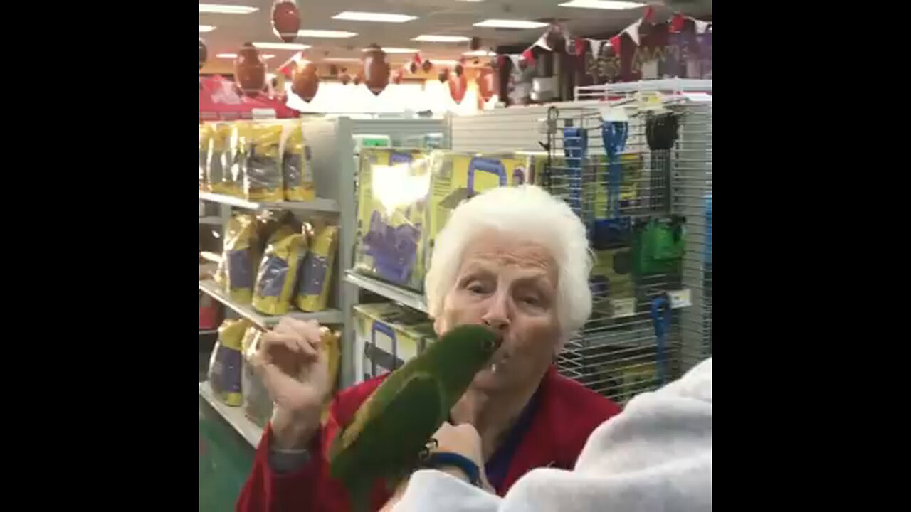 WOULD YOU RATHER QUESTIONS WITH GRANDMA.