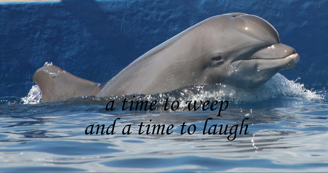 Weep At Night; Rejoice In The Morning
