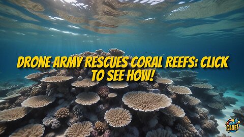 Autonomous Drone Swarms: The Future of Coral Reef Restoration