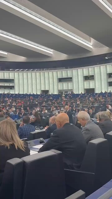 🇪🇺 Left-wing MEPs in the European Parliament refuse to observe a minute's silence