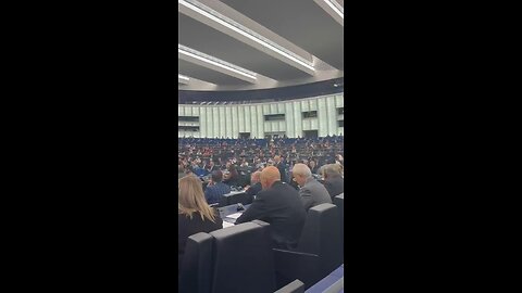🇪🇺 Left-wing MEPs in the European Parliament refuse to observe a minute's silence
