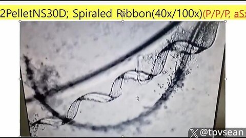 Pfizer Insiders Admit Vaccinated Men Are Being 'Chemically Castrated'