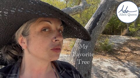 Ada Alien Queen • Call Me Ada • Take # 00032 • My Favorite Tree