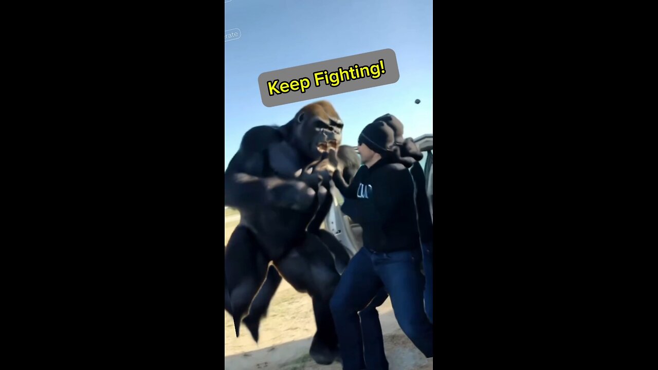 Keep Fighting!