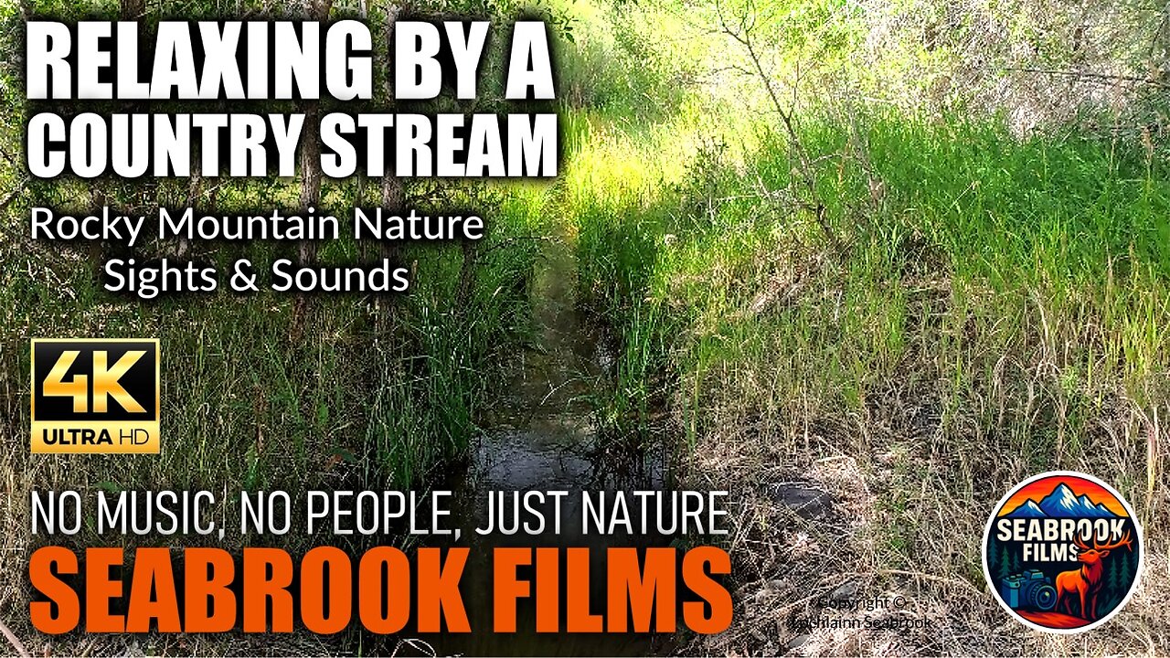 Relaxing By a Country Stream: Rocky Mountain Nature Sights and Sounds