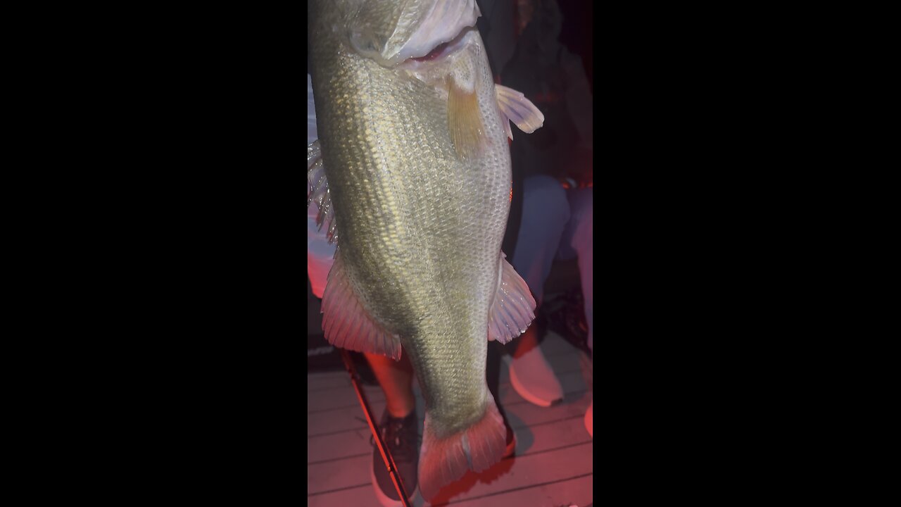 Night fishing and Craig caught this giant!
