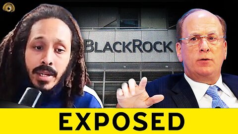 Larry Fink EXPOSED: Remote Viewer CATCHES BlackRock Money Laundering?!