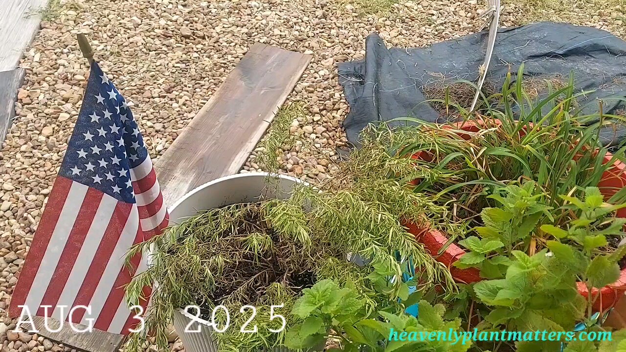 52 Sundays! Cleaning up for fall