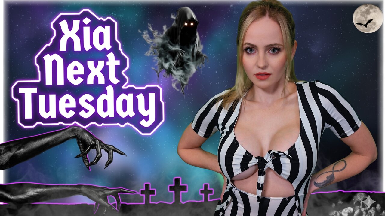 Twitch Streamer Attacked At Meet & Greet