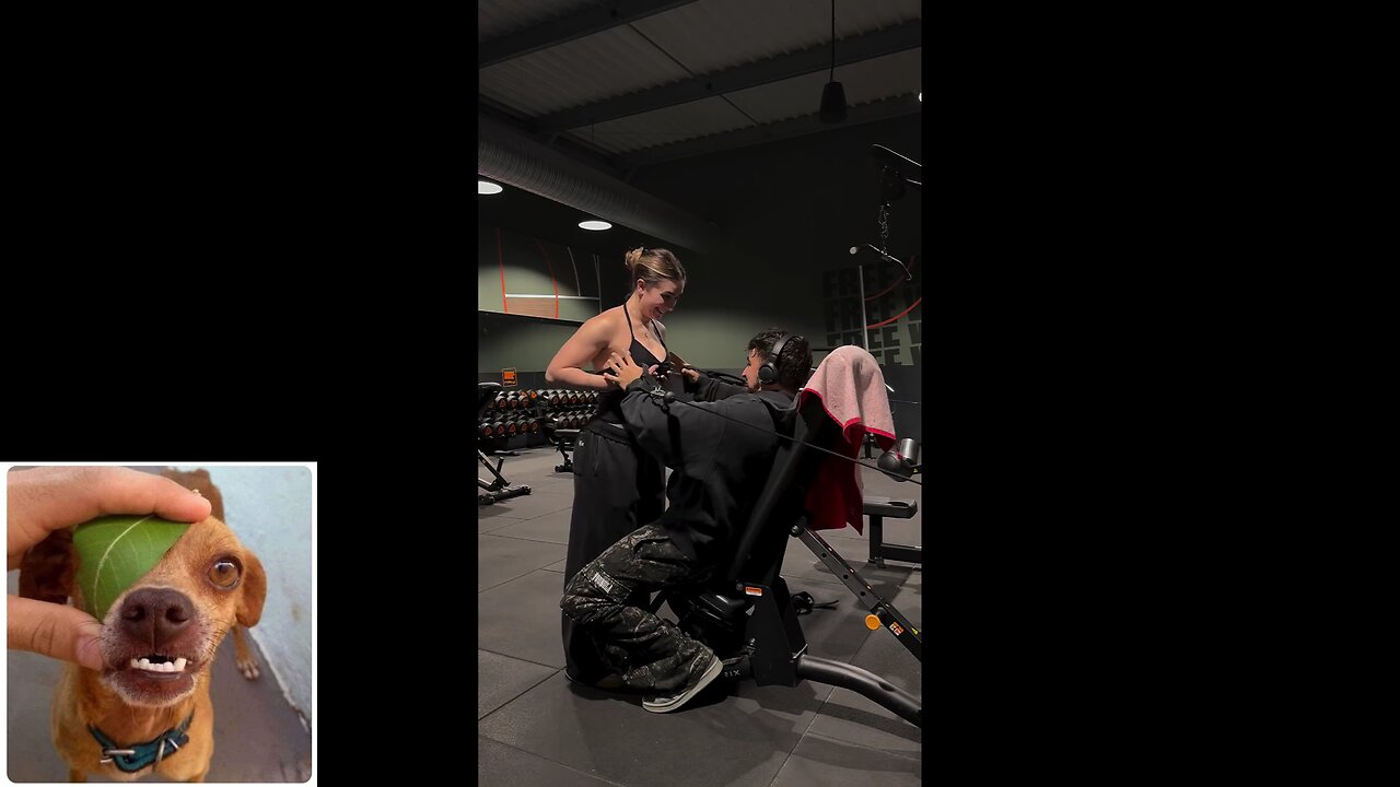 Funny videos compilation 41