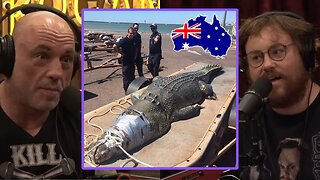 Joe Rogan & James McCann: Australia Has A Crocodile Problem