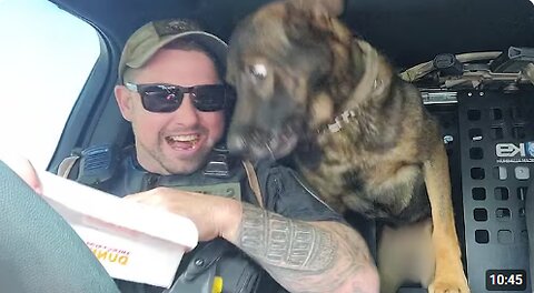 When Police Dogs Forget Their Job 😁 Funny Dog Videos 2025