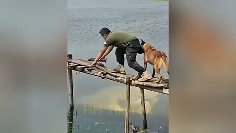 TikTok Try Not to Laugh Challenge – Funniest Clips Compilation