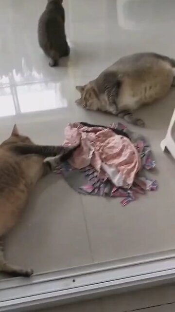 My girlfriend and I: order food Also, two hours later: Funny 😄