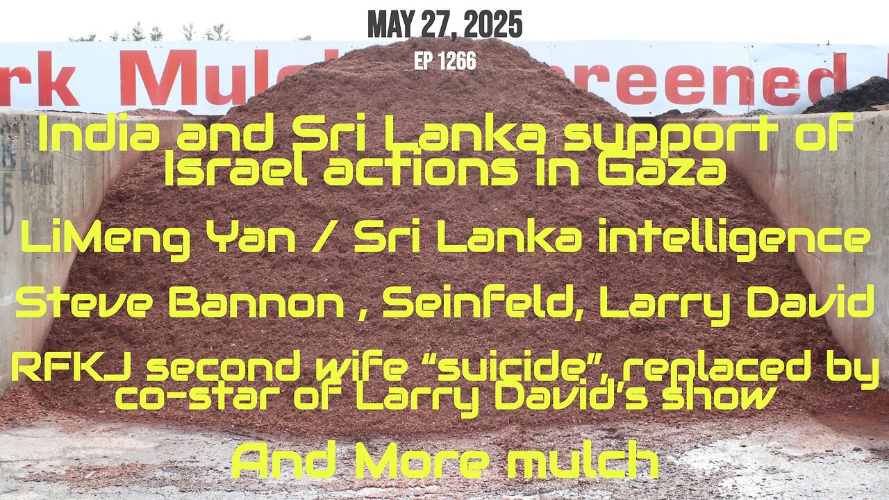MARK MULCH 1266 LiMeng Yan Steve Bannon Sri Lanka Israel Gaza Larry David Seinfeld SARS Lab Leak CV