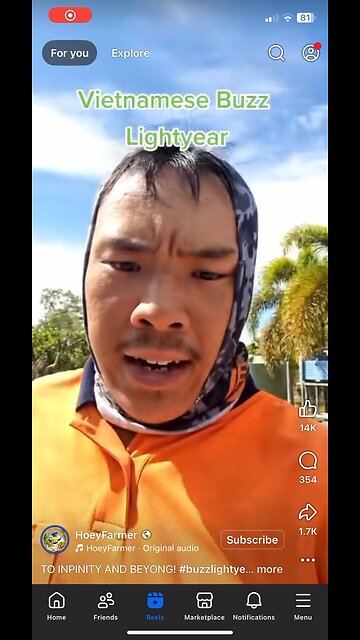 Jack, the Irish wolfhound