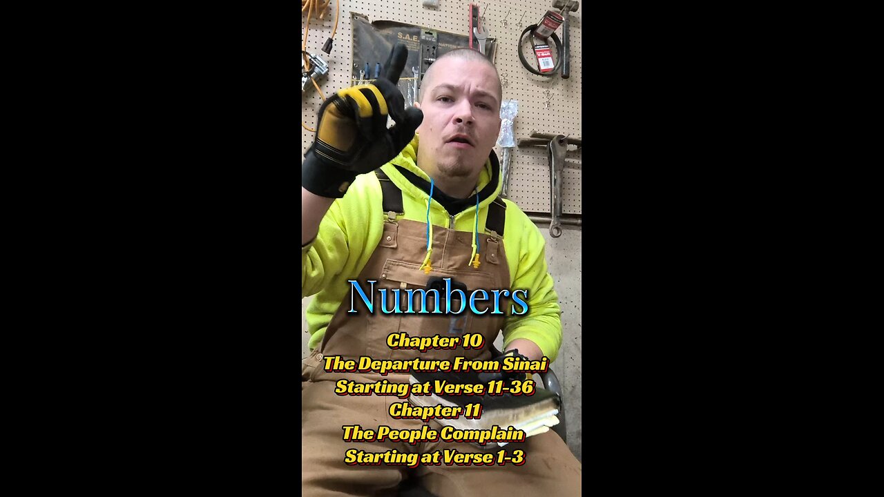 Numbers Chapter 10 -11