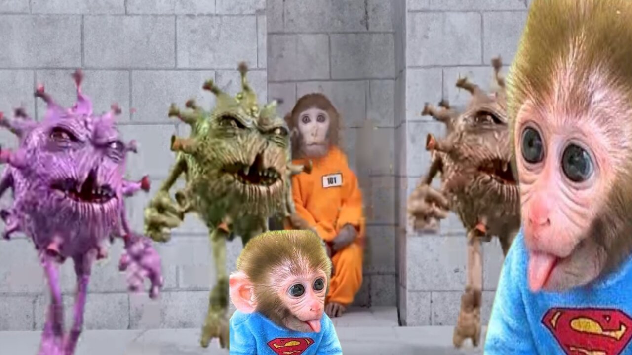 Bonmonkeykiki catch the virus!||Bonmonkeykiki animal video? part- 02