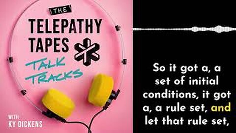 The Telepathy Tapes - Talk Tracks Episode 11 Are We Living In A Simulation?