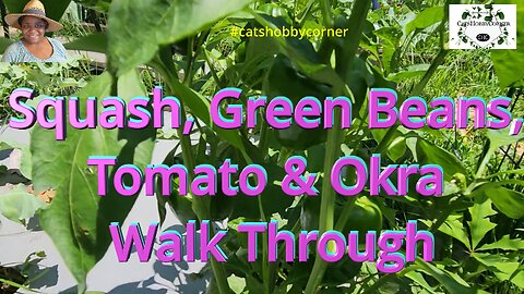 Squash, Green Beans, Tomato & Okra Walk Through - #catshobbycorner #garden