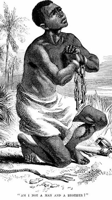 Trouble of the World