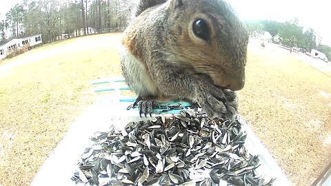 bro you're eating it all