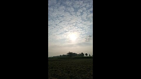 Good Morning