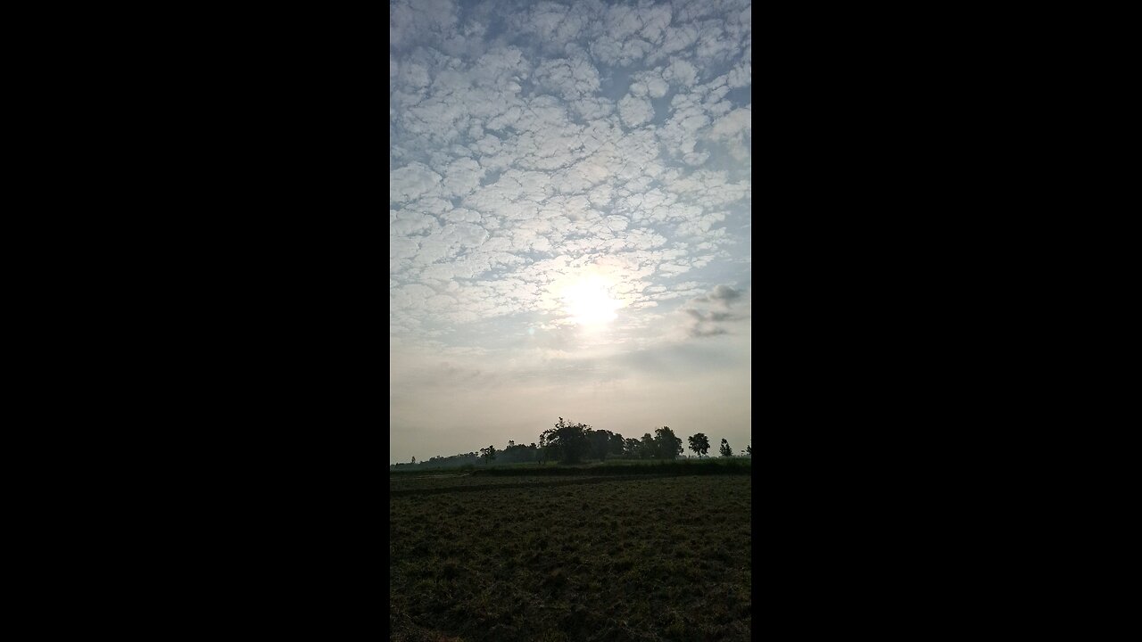 Good Morning