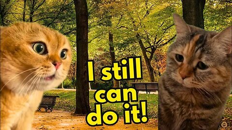 When a Cat Has to Prove That He can Still Catch a Mouse (Ep.08)