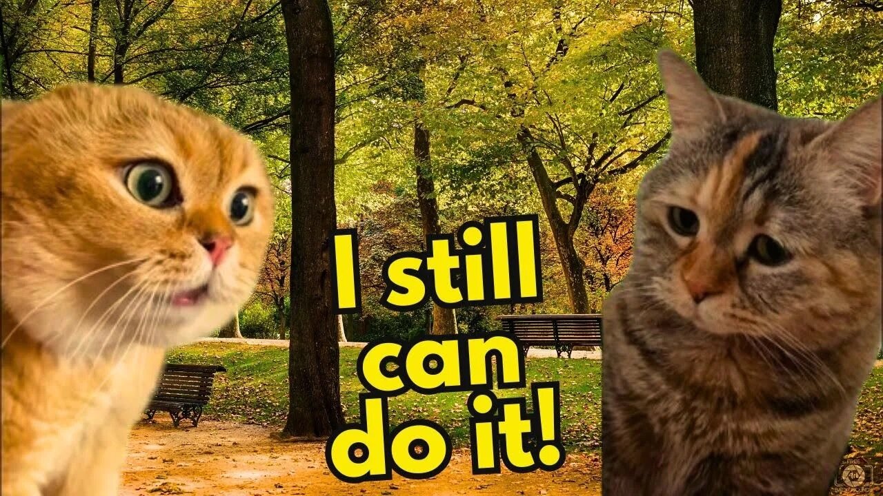 When a Cat Has to Prove That He can Still Catch a Mouse (Ep.08)