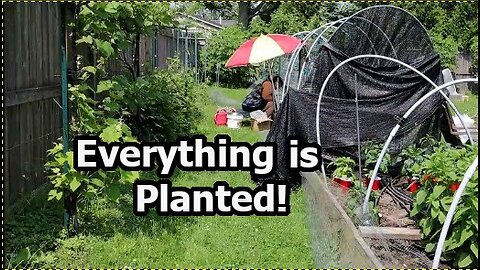 Planting Tomatoes, Peppers & More! Full Vegetable Gardening Tour (in Ontario Zone 6 June 2025)