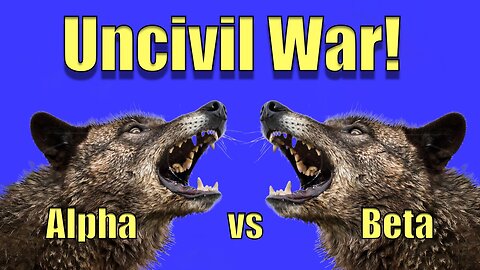 Alpha vs Beta - It's Stupid