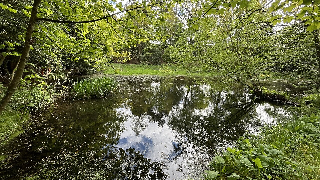 Water Of Leith going via Merchiston Castle School and avoiding Warklaw